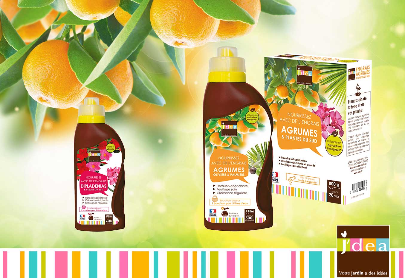 05 AGRUMES ET FLEURS DU SUD