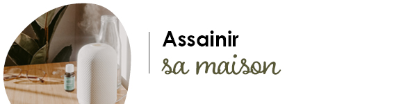 VISUELS PLANTES GRAPHIQUES 210