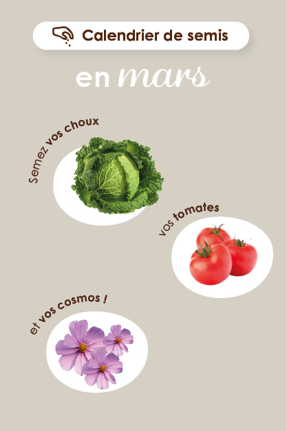 2022 AGENDA JARDINIER SEMER