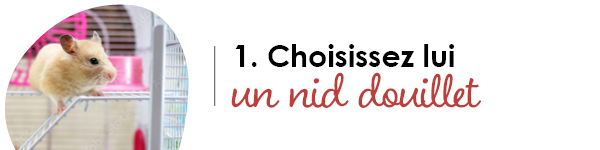 VISUELS LITIERES NATURELLES