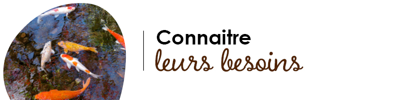 VISUELS LITIERES NATURELLES