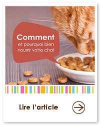 2022 06 VIGNETTES ARTICLES