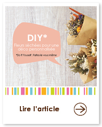 2022 06 VIGNETTES ARTICLES