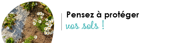 VISUELS LITIERES NATURELLES