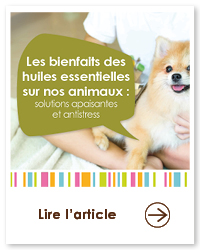 2023 09 VIGNETTES ARTICLES  JARDIN