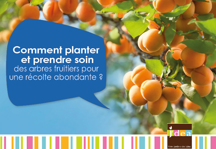 Comment planter et prendre soin des arbres fruitiers pour une récolte abondante ?