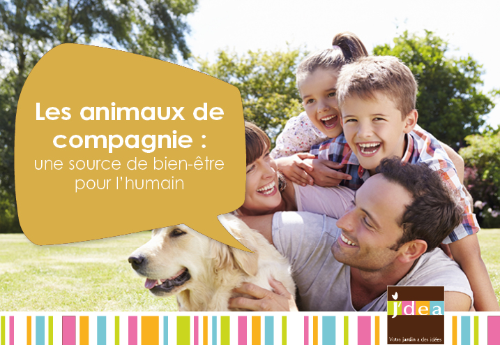 Les animaux de compagnie source de bien-être pour les humains