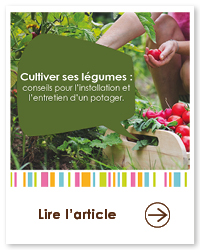 2023 09 VIGNETTES ARTICLES  JARDIN