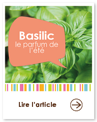 2022 06 VIGNETTES ARTICLES2