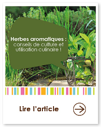 2022 01 VIGNETTES ARTICLES3