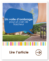 2022 06 VIGNETTES ARTICLES2