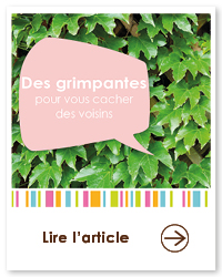 2023 09 VIGNETTES ARTICLES  JARDIN