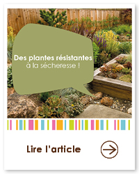 2022 06 VIGNETTES ARTICLES2