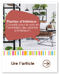 2023 09 VIGNETTES ARTICLES  JARDIN