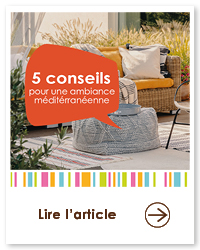 2022 06 VIGNETTES ARTICLES2