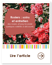 2022 06 VIGNETTES ARTICLES2