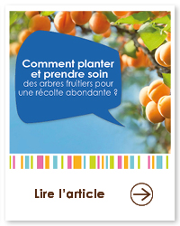 2022 01 VIGNETTES ARTICLES3