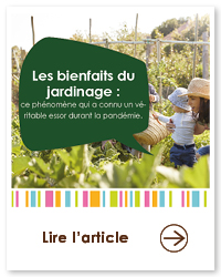 2023 09 VIGNETTES ARTICLES  JARDIN