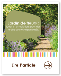 2022 01 VIGNETTES ARTICLES3