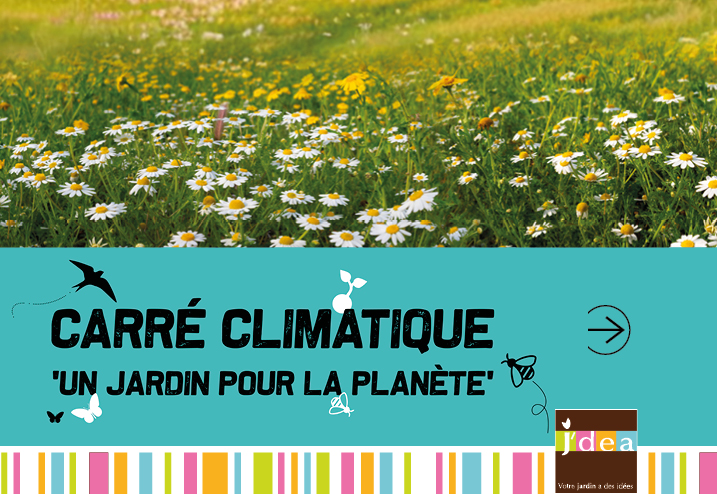 Tendance verte : la re-naturalisation des pelouses