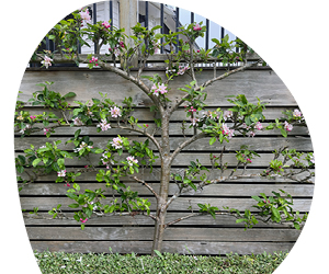 2026 02 VISUELS ARTICLE 2 3